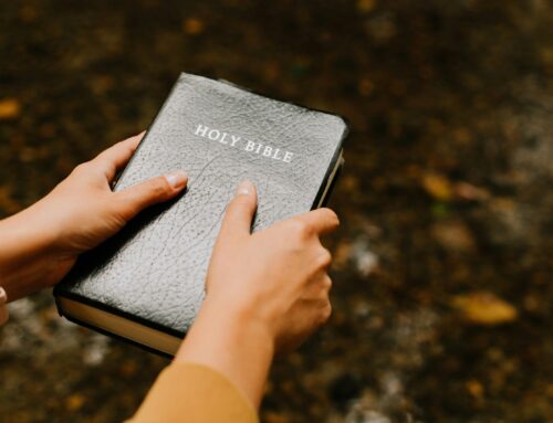 The Important Role of the Bible in the Catholic Faith